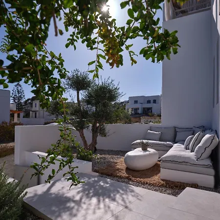 The Bright And Elegant Akira Науса